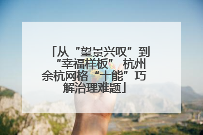 从“望景兴叹”到“幸福样板” 杭州余杭网格“十能”巧解治理难题