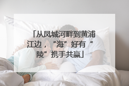 从凤城河畔到黄浦江边，“海”好有“陵”携手共赢