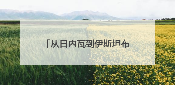 从日内瓦到伊斯坦布尔到莫斯科，伊朗外长行程说明了什么？