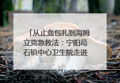 从止血包扎到海姆立克急救法：宁阳葛石镇中心卫生院走进这所中学，让师生get全套救命技能