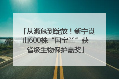 从濒危到绽放！新宁崀山600株“国宝兰”获省级生物保护嘉奖