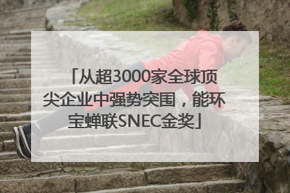 从超3000家全球顶尖企业中强势突围，能环宝蝉联SNEC金奖