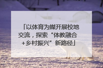 以体育为媒开展校地交流，探索“体教融合+乡村振兴”新路径