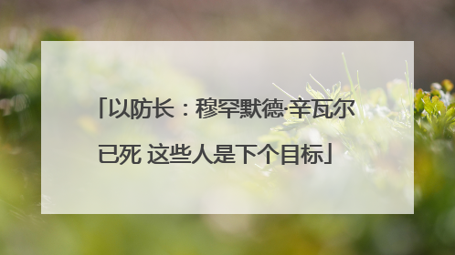 以防长：穆罕默德·辛瓦尔已死 这些人是下个目标