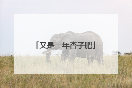 又是一年杏子肥