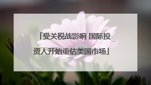 受关税战影响 国际投资人开始重估美国市场