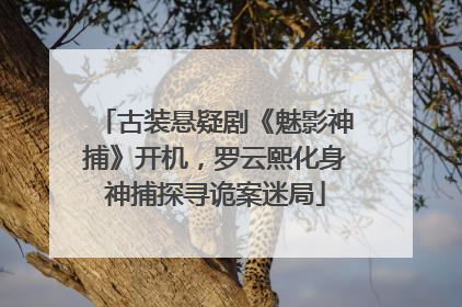 古装悬疑剧《魅影神捕》开机，罗云熙化身神捕探寻诡案迷局