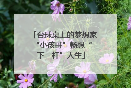 台球桌上的梦想家 “小孩哥”畅想“下一杆”人生