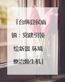 台前县侯庙镇：党建引领绘新景 环境整治焕生机