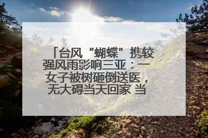台风“蝴蝶”携较强风雨影响三亚：一女子被树砸倒送医，无大碍当天回家 当地已紧急清障