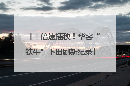 十倍速插秧！华容“铁牛”下田刷新纪录