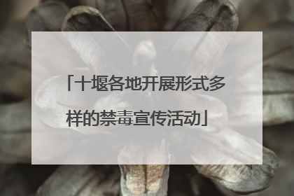 十堰各地开展形式多样的禁毒宣传活动