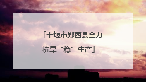 十堰市郧西县全力抗旱“稳”生产