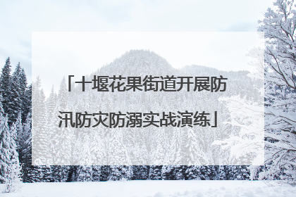 十堰花果街道开展防汛防灾防溺实战演练