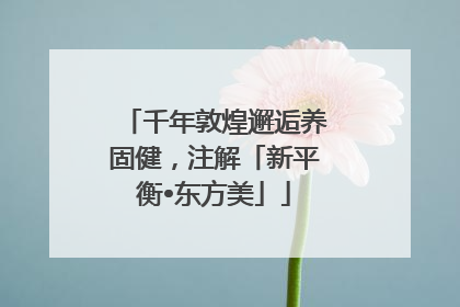 千年敦煌邂逅养固健，注解「新平衡•东方美」