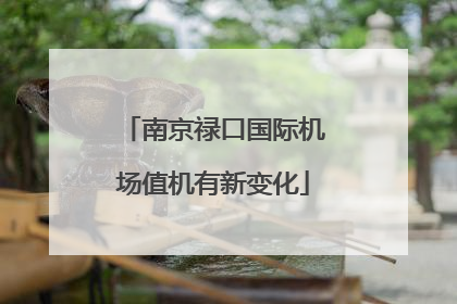 南京禄口国际机场值机有新变化