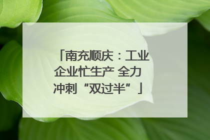 南充顺庆：工业企业忙生产 全力冲刺“双过半”