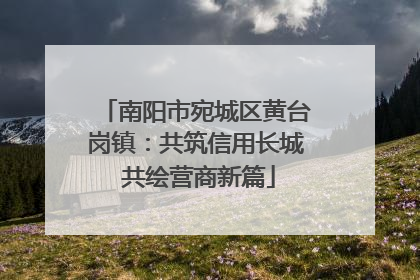 南阳市宛城区黄台岗镇：共筑信用长城 共绘营商新篇