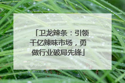 卫龙辣条：引领千亿辣味市场，勇做行业破局先锋