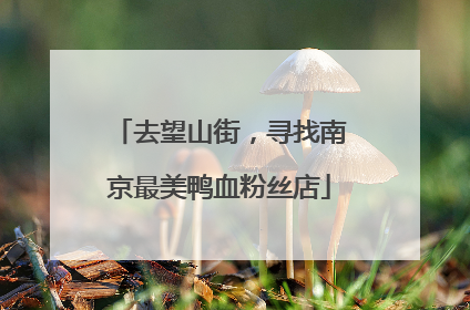 去望山街，寻找南京最美鸭血粉丝店