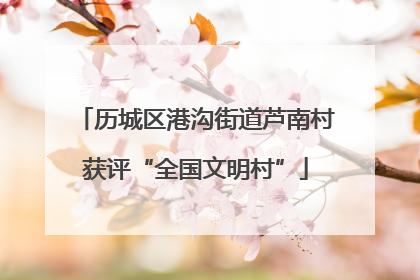历城区港沟街道芦南村获评“全国文明村”