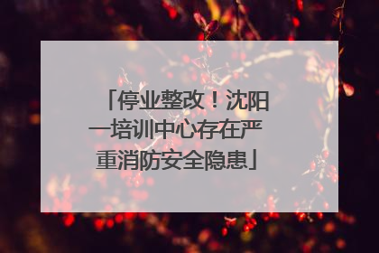 停业整改！沈阳一培训中心存在严重消防安全隐患