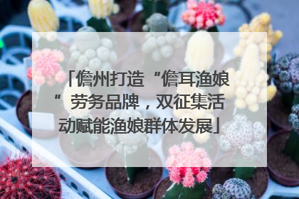 儋州打造“儋耳渔娘”劳务品牌，双征集活动赋能渔娘群体发展