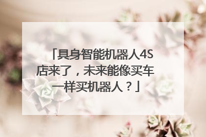 具身智能机器人4S店来了，未来能像买车一样买机器人？