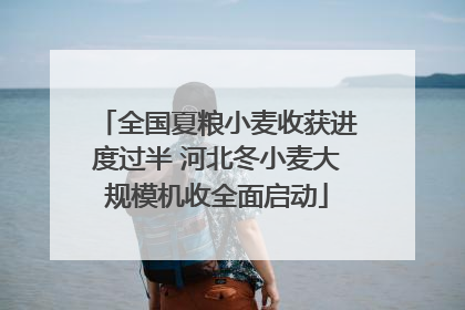 全国夏粮小麦收获进度过半 河北冬小麦大规模机收全面启动