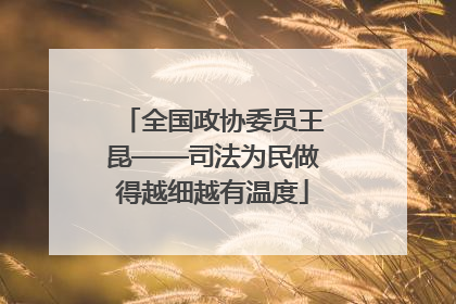 全国政协委员王昆——司法为民做得越细越有温度