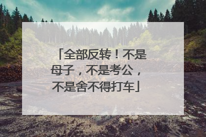 全部反转！不是母子，不是考公，不是舍不得打车