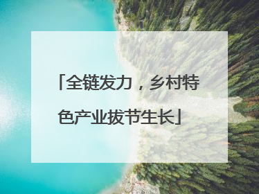 全链发力，乡村特色产业拔节生长