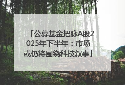 公募基金把脉A股2025年下半年：市场或仍将围绕科技叙事
