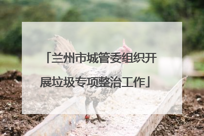 兰州市城管委组织开展垃圾专项整治工作