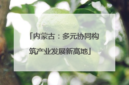 内蒙古：多元协同构筑产业发展新高地