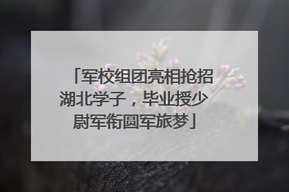 军校组团亮相抢招湖北学子，毕业授少尉军衔圆军旅梦