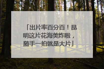 出片率百分百！昆明这片花海美炸啦，随手一拍就是大片