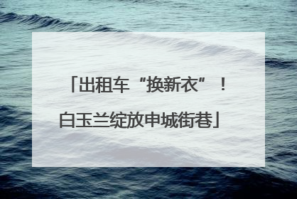 出租车“换新衣”！白玉兰绽放申城街巷