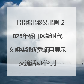 出新出彩又出圈 2025年硚口区新时代文明实践优秀项目展示交流活动举行
