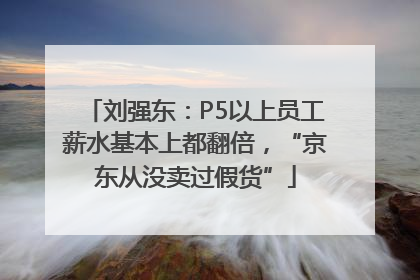 刘强东：P5以上员工薪水基本上都翻倍，“京东从没卖过假货”