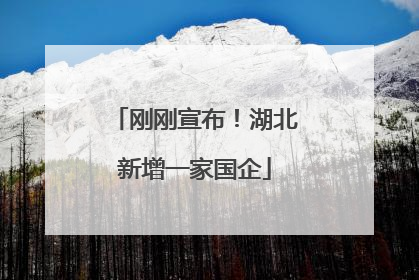 刚刚宣布！湖北新增一家国企