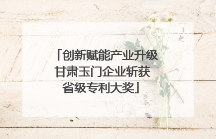 创新赋能产业升级 甘肃玉门企业斩获省级专利大奖