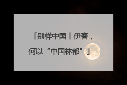 别样中国丨伊春，何以“中国林都”