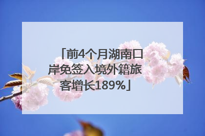 前4个月湖南口岸免签入境外籍旅客增长189%