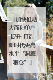 加快推动大面积单产提升 打造新时代更高水平“洞庭粮仓”