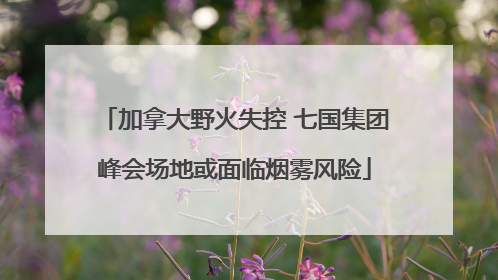 加拿大野火失控 七国集团峰会场地或面临烟雾风险