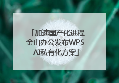 加速国产化进程 金山办公发布WPS AI私有化方案