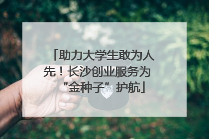 助力大学生敢为人先！长沙创业服务为“金种子”护航