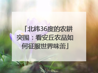 北纬36度的农耕突围：看安丘农品如何征服世界味蕾