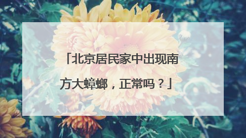 北京居民家中出现南方大蟑螂，正常吗？